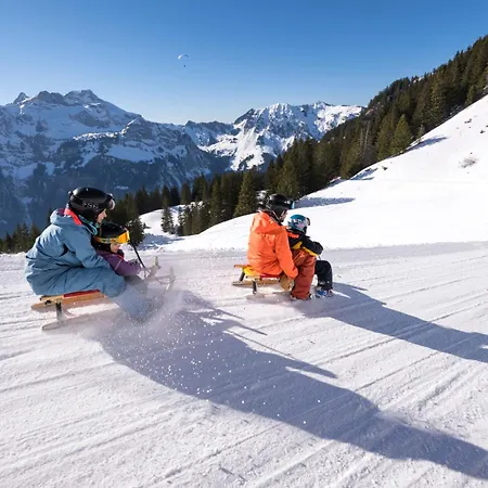 Berglodge Ristis Ostello Engelberg