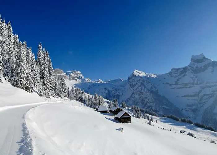 Ostello Berglodge Ristis Engelberg